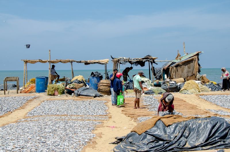 Fischer in Nekombo bei Colombo